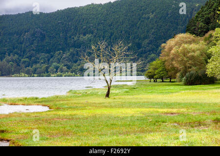 Furnas Lake in Sao Miguel, Azores Islands Stock Photo