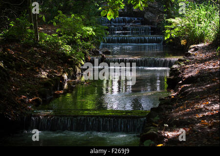 Cascades at Tehidy Country Park in Cornwall Stock Photo