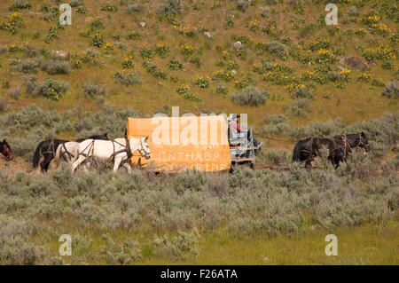 Ride to Rendezvous wagon, Okanogan County, Washington Stock Photo