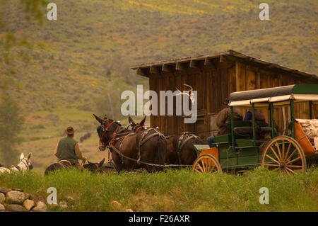 Ride to Rendezvous wagon, Okanogan County, Washington Stock Photo