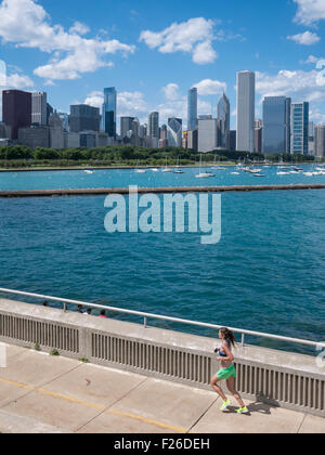 View of Chicago skyline from Shedd Aquarium. Stock Photo