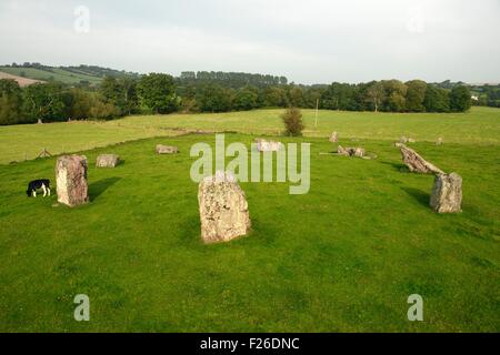 Stanton Drew, Somerset, England. Across the 4000+ years prehistoric stones of the northeast circle seen from the southeast