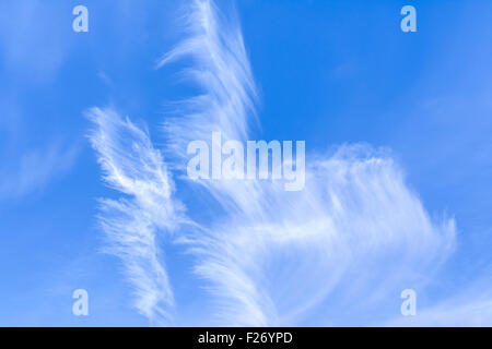 Cirrus clouds in blue sky on a bright sunny day. Stock Photo