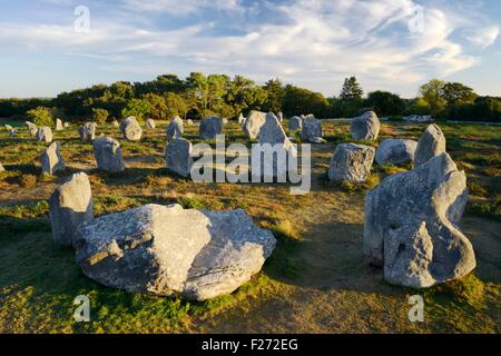 Carnac, Brittany, France. Part of the south western end of the Kermario group of prehistoric stone row alignments Stock Photo