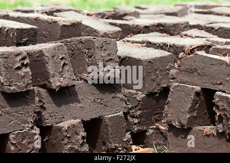 Bricks drying in sun, Bavaria, Germany Stock Photo