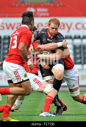 Swansea, Wales, UK. 13th Sep, 2015. Guiness Pro 12 -  Ospreys v Munster at the Liberty Stadium in Swansea : Ospreys Dan Baker is caught by the Munster defence.  Credit:  Phil Rees/Alamy Live News Stock Photo