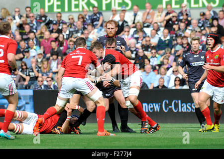 Swansea, Wales, UK. 13th Sep, 2015. Guiness Pro 12 -  Ospreys v Munster at the Liberty Stadium in Swansea : Ospreys Sam Davies is caught by the Musnter defence.  Credit:  Phil Rees/Alamy Live News Stock Photo