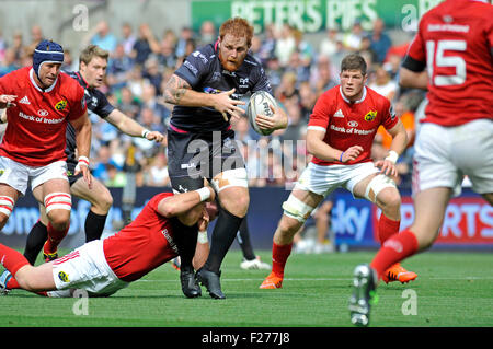 Swansea, Wales, UK. 13th Sep, 2015. Guiness Pro 12 -  Ospreys v Munster at the Liberty Stadium in Swansea : Ospreys Dan Baker is caught by the Munster defence.  Credit:  Phil Rees/Alamy Live News Stock Photo