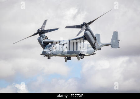 Bell Boeing CV-22 Osprey tiltrotor military transport aircraft being demonstrated at RIAT 2015, at Fairford, Gloucestershire. Stock Photo