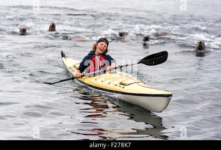 Boy kayaking with Steller sea lions, Frederick Sound, Alaska. Stock Photo
