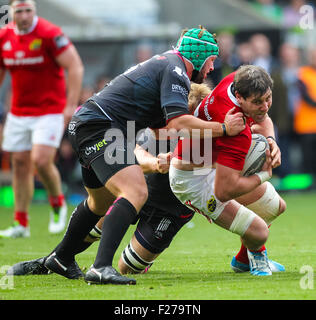 Swansea, Wales. 13th Sep, 2015. Guinness Pro12. Ospreys versus Munster Rugby. Munster's Dave O'Callaghan gets tackled. © Action Plus Sports/Alamy Live News Stock Photo