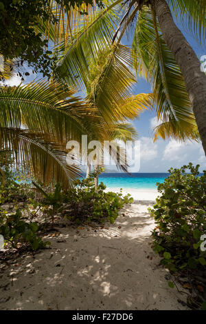 Path to the Caribbean, Sandy Island, British Virgin Islands Stock Photo