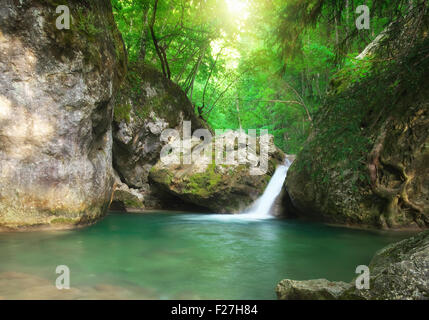 Spring rill flow. Nature composition. Stock Photo