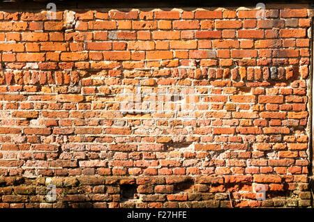 A mediaeval brick wall. The lower courses of brick, mostly in English bond, are Tudor and date from about 1450. Stock Photo