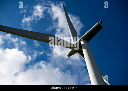 EAGLESHAM, SCOTLAND - AUGUST 28: a general view of wind turbines on Scottish Power's Whitelee Wind Farm on August 28, 2015 in Ea Stock Photo