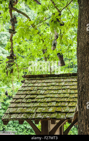 Hiking boots hang from tree branches above a sheltered information stand at Walasi-Yi along the Appalachian Trail at Neels Gap. Stock Photo