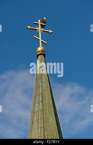 Bald eagle sitting on top of the steeple of St. Michael's Cathedral in Sitka, Alaska. Stock Photo