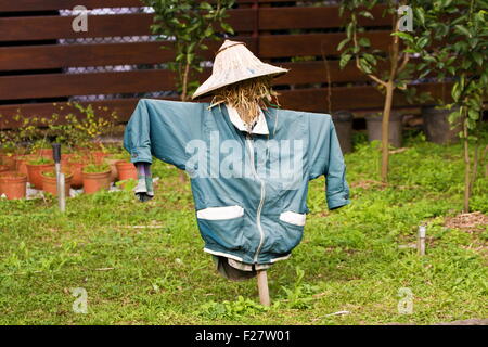 scarecrow in farm Stock Photo