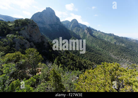 Knife's Edge in Sandia Mountains