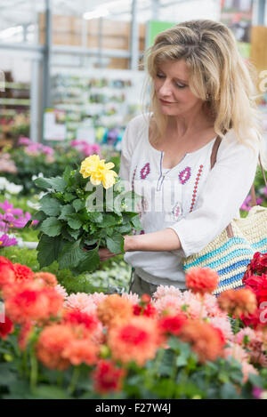 Mature woman shopping in garden centre, Augsburg, Bavaria, Germany Stock Photo
