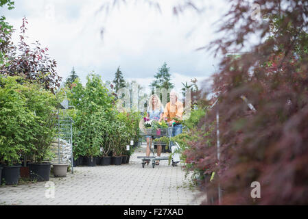 Mature couple shopping in plant nursery, Augsburg, Bavaria, Germany Stock Photo