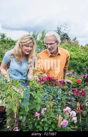 Mature couple choosing plants in a plant nursery, Augsburg, Bavaria, Germany Stock Photo