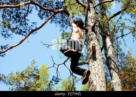 young man climbing on tree in forest close up hight