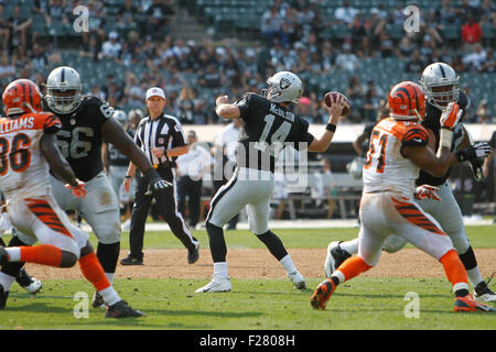 Oakland, California, USA. 13th Sep, 2015. Oakland Raiders quarterback Matt McGloin (14) throws the ball during the NFL game at O.co Coliseum. The Cincinnati Bengals defeated the Oakland Raiders with a score of 33-13.  Credit:  Stan Szeto/Cal Sport Media/Alamy Live News Stock Photo
