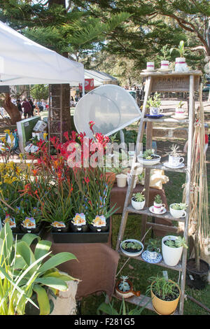 Sydney primary school hosts the local community fete fair to raise funds for the school,Avalon,Sydney,Australia Stock Photo