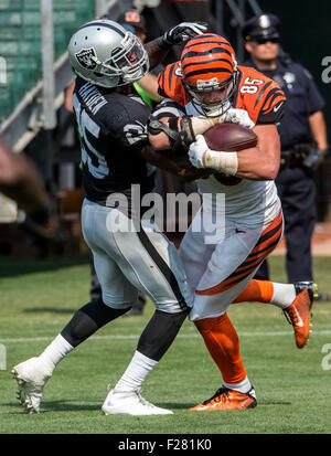 Photo: Bengals Hayden Hurst catchs over Panthers Myles Hartsfield -  KYP20221106010 