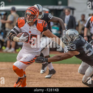 Malcolm smith xlviii hi-res stock photography and images - Alamy