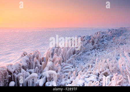 Sunrise over a frozen lake on a record-breaking cold morning in The Netherlands. Stock Photo