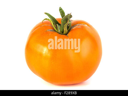 Yellow tomato vegetable closeup isolated on white background Stock Photo