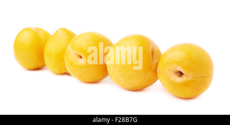 Yellow mirabelle plums aligned in a line, composition isolated over the white background Stock Photo