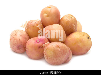 Brown young potato isolated on white background Stock Photo