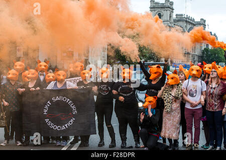 Brian May attends a Keep the Fox Hunting Ban protest outside the Houses of Parliament.  Featuring: View Where: London, United Kingdom When: 14 Jul 2015 Stock Photo