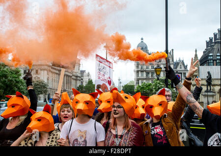 Brian May attends a Keep the Fox Hunting Ban protest outside the Houses of Parliament.  Featuring: View Where: London, United Kingdom When: 14 Jul 2015 Stock Photo