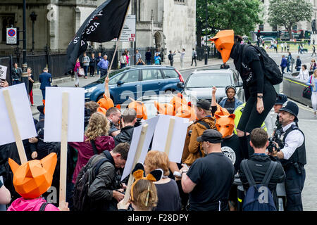 Brian May attends a Keep the Fox Hunting Ban protest outside the Houses of Parliament.  Featuring: View Where: London, United Kingdom When: 14 Jul 2015 Stock Photo