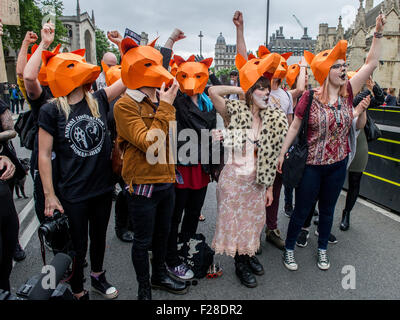 Brian May attends a Keep the Fox Hunting Ban protest outside the Houses of Parliament.  Featuring: View Where: London, United Kingdom When: 14 Jul 2015 Stock Photo