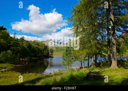 Blea Tarn, Little Langdale, Lake District National Park, Cumbria, England UK Stock Photo