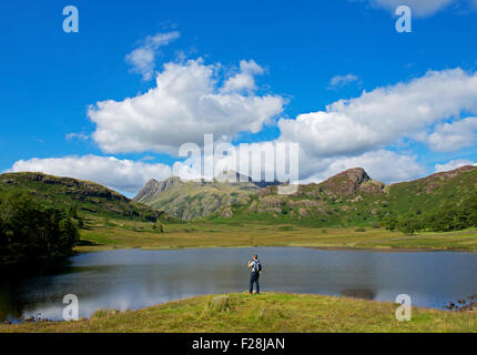 Man taking photographs at Blea Tarn, Little Langdale, Lake District National Park, Cumbria, England UK Stock Photo