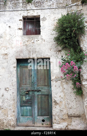 A wooden door and weeds in a calcarenitic rock wall. Stock Photo