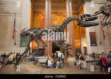 Amidst the visitors a Barosaurus protects her young from an attacking Allosaurus in the entry hall at the American Museum Of Natural History in Manhattan. Stock Photo