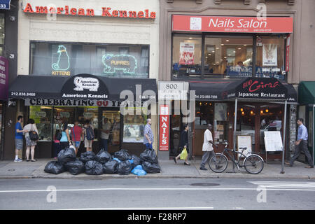 Even on the pricey Upper East Side along Lexington Ave. garbage is part of daily life on the street due to almost no alleys in Manhattan. Stock Photo