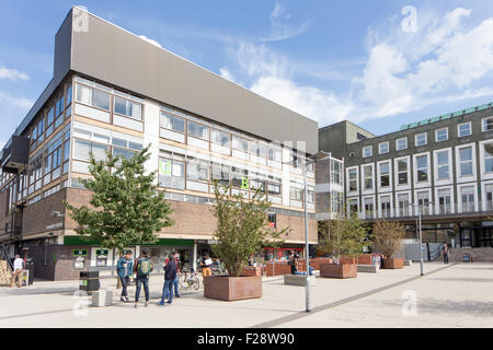 A group of young students talking at the University of Birmingham campus, England, UK Stock Photo