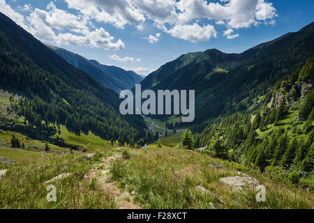 Mountain landscape with afforested valley and a small river Stock Photo