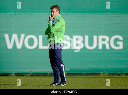 Wolfsburg, Germany. 14th Sep, 2015. Wolfsburg's head coach Dieter Hecking watches his players during a training session of German Bundesliga soccer club VfL Wolfsburg at the Volkswagen-Arena in Wolfsburg, Germany, 14 September 2015. VfL Wolfsburg will face CSKA Moscow in a UEFA Champions League soccer match on 15 September. Photo: PETER STEFFEN/dpa/Alamy Live News Stock Photo