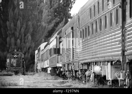 An old train and a locomotive on a trainyard. Stock Photo