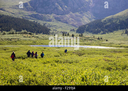 Georgetown, Colorado - People hike the trail from Guanella Pass to 14,060-foot Mt. Bierstadt in the Mt. Evans Wilderness Area. Stock Photo