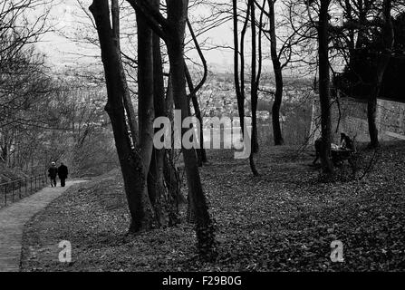 AJAXNETPHOTO. LOUVECIENNES, FRANCE. - FOOTPATH TO THE SEINE - START OF THE WALK DOWN THE HILLSIDE TOWARD BOUGIVAL AND THE RIVER SEINE, A POPULAR VENUE FOR IMPRESSIONIST ARTISTS OF LATE 19TH CENTURY INCLUDING CAMILLE PISSARRO AND ALFRED SISLEY. A FAMILY IS PIC-NICKING AMONGST THE TREES ON THE RIGHT. PHOTO:JONATHAN EASTLAND/AJAX REF:TC4898BW 11 11 Stock Photo